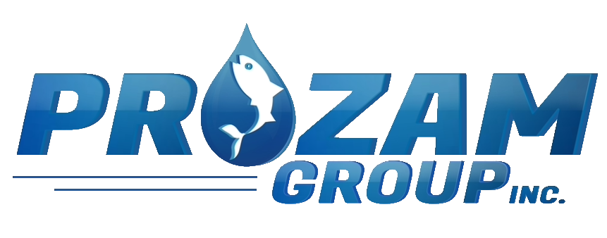 Financing || Prozam Group